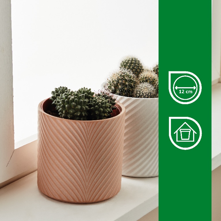 Ghiveci din teracota Verve, 13 cm, alb