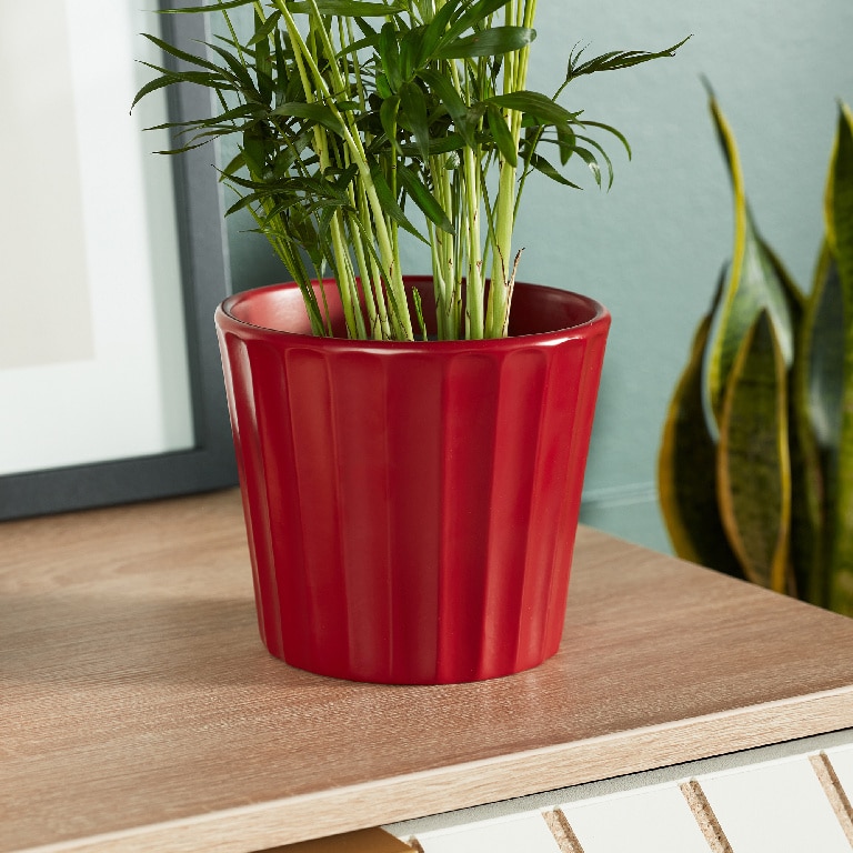 Ghiveci din Argila, Rosu, 14.5 cm  Verve