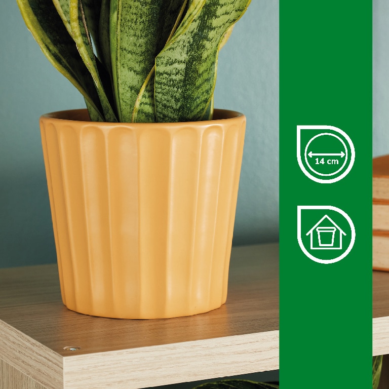 Ghiveci din Argila, Galben, 16.5 cm  Verve