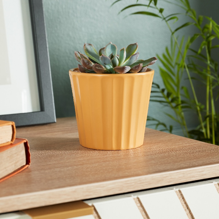 Ghiveci din Argila, Galben, 11 cm  Verve