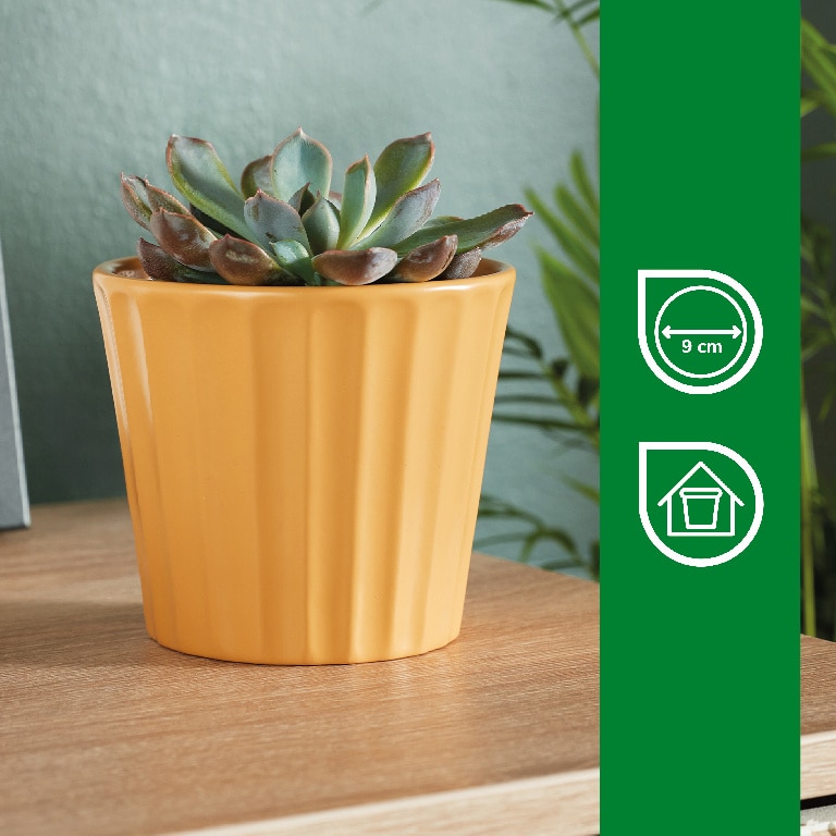 Ghiveci din Argila, Galben, 11 cm  Verve