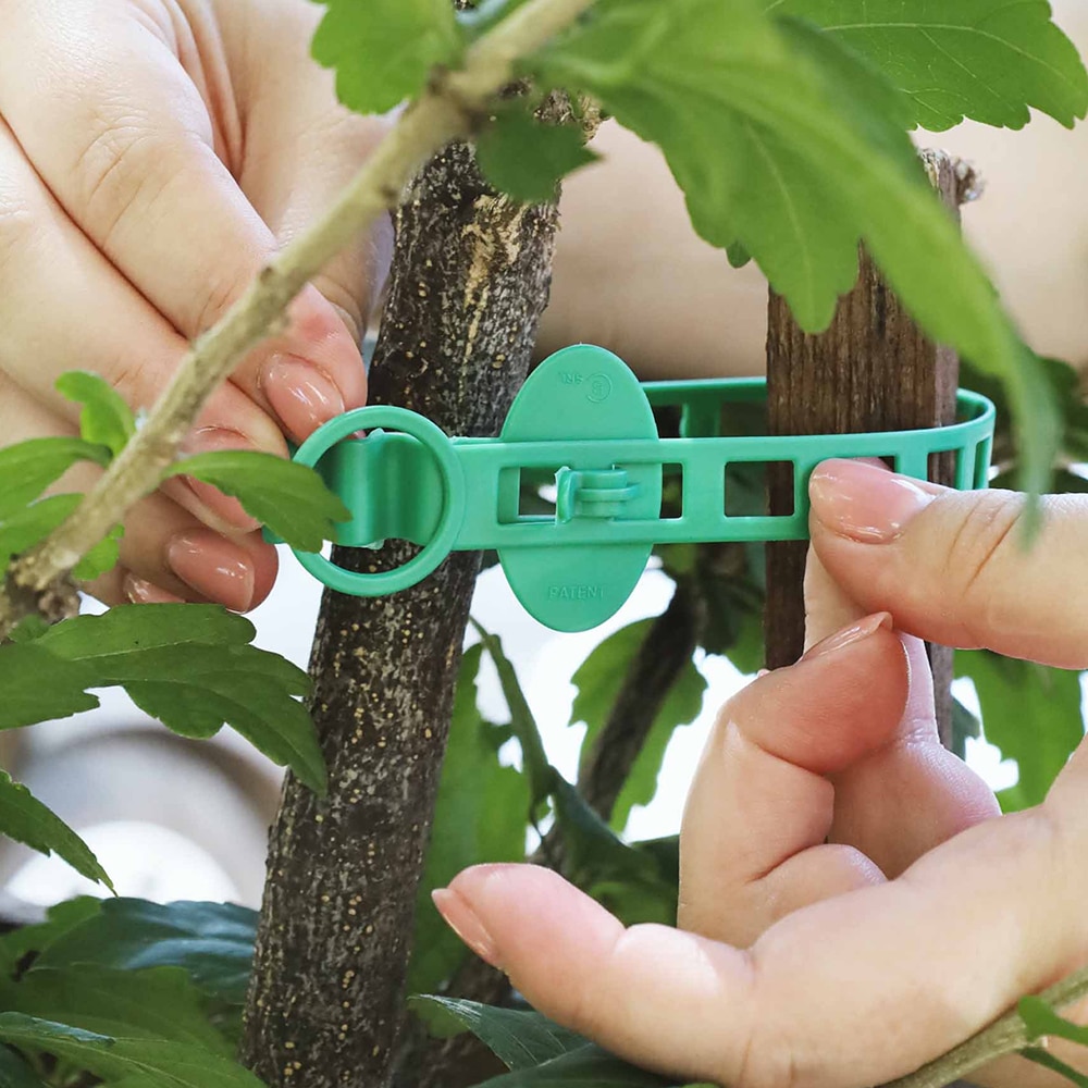 Set coliere DR. SOIL, XL 343mm, 20-55mm, 6 buc