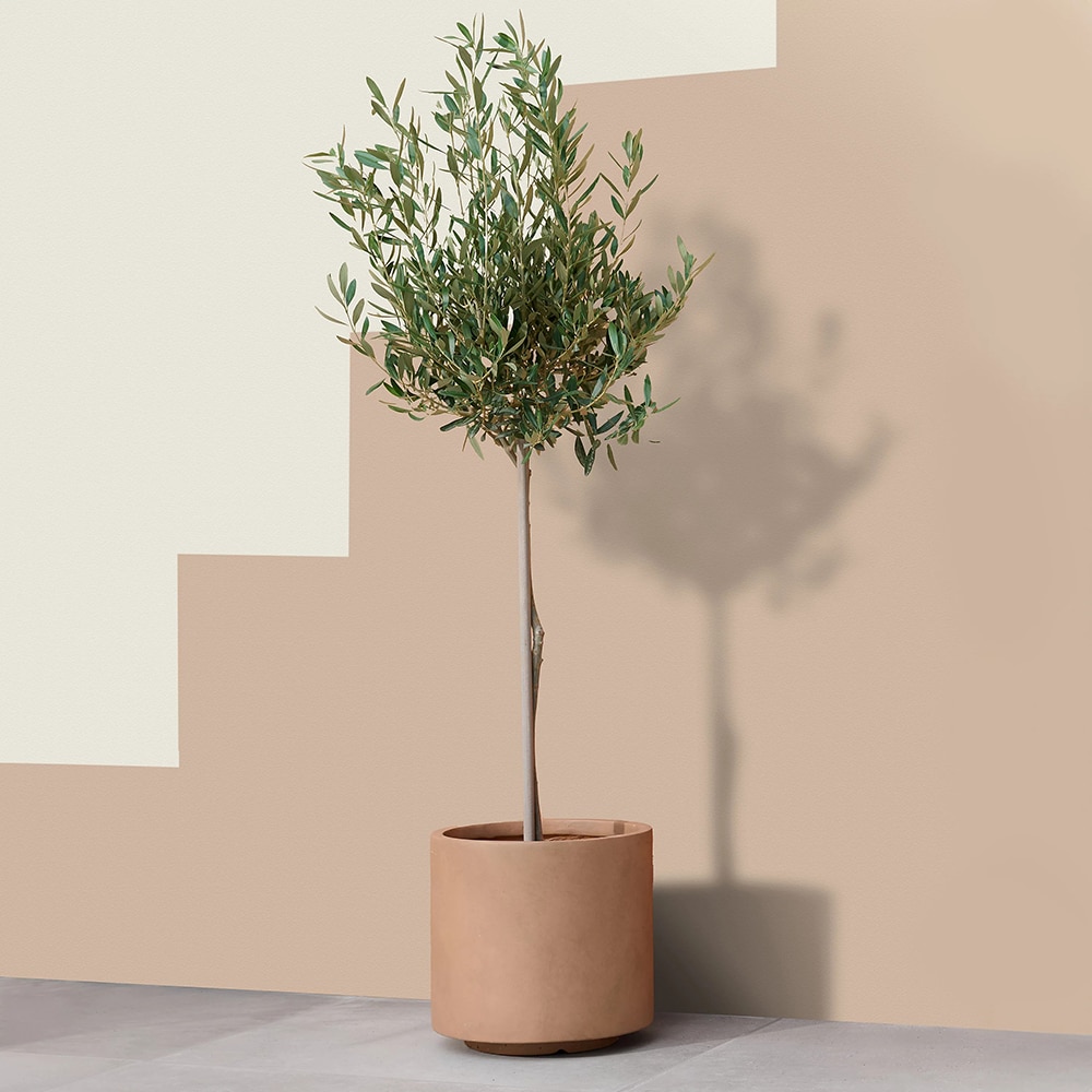 Ghiveci flori VERVE, lut, D 32 cm, maro