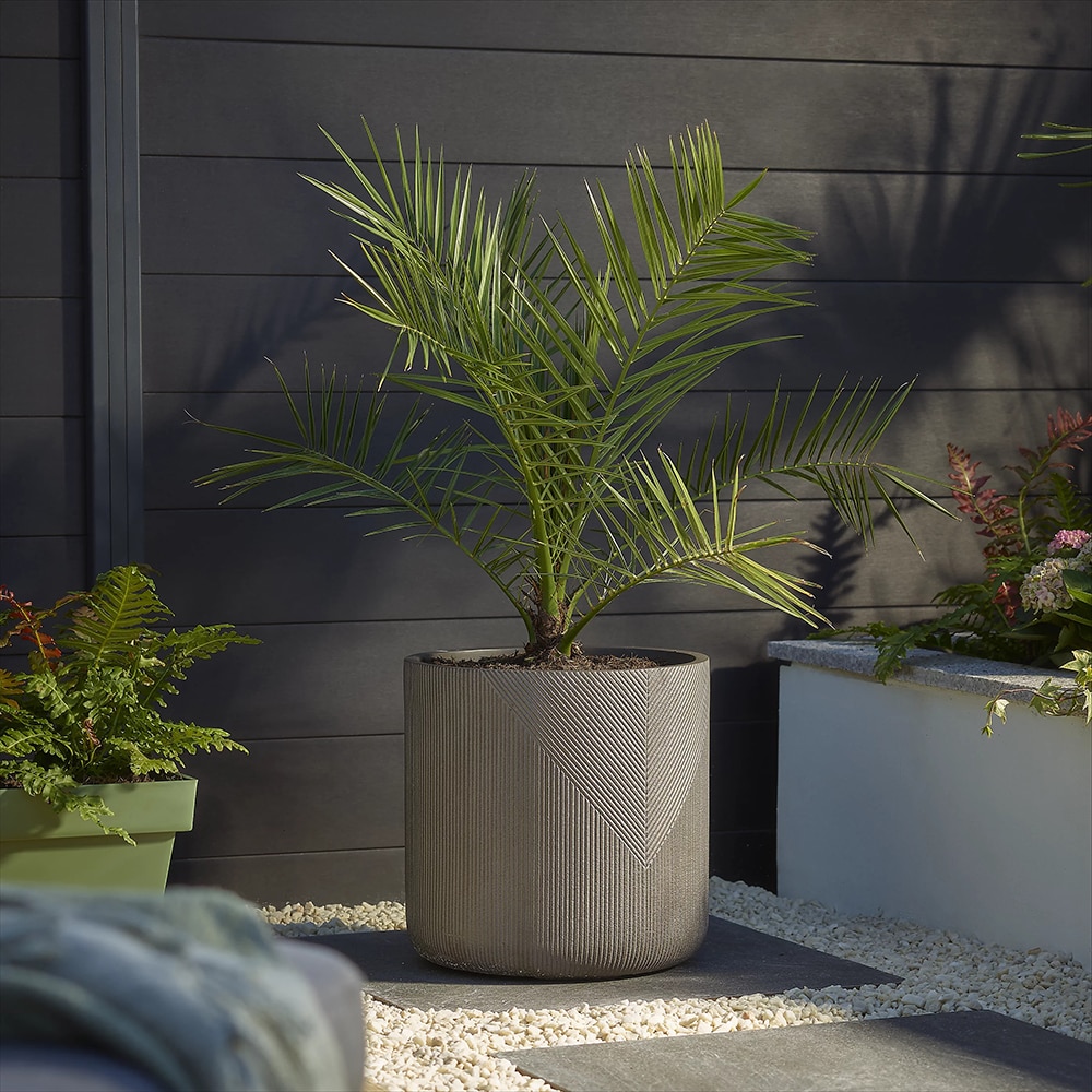 Ghiveci flori VERVE, lut, D 36 cm, gri inchis