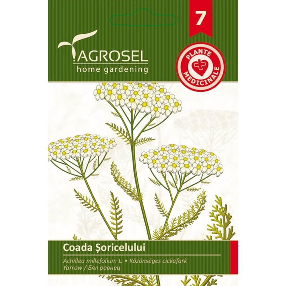 Seminte flori Coada soricelului AGROSEL