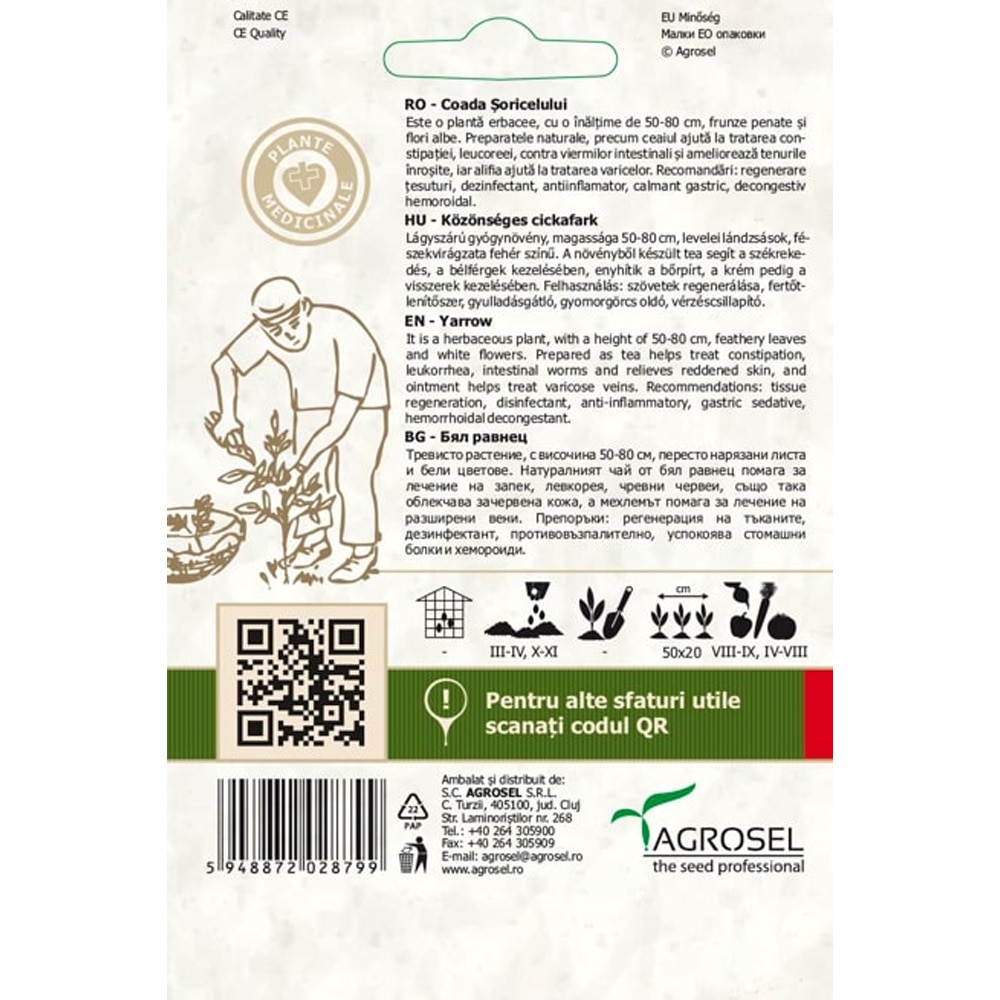 Seminte flori Coada soricelului AGROSEL