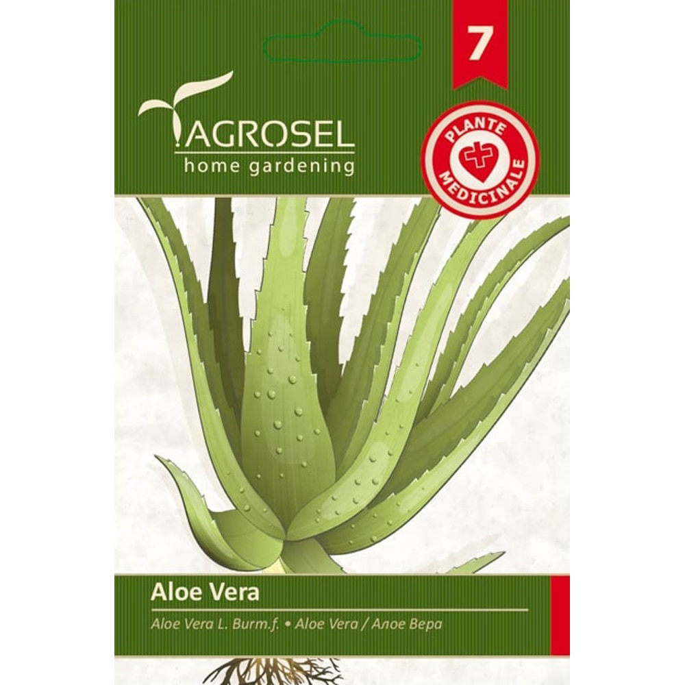 Seminte Aloe vera AGROSEL