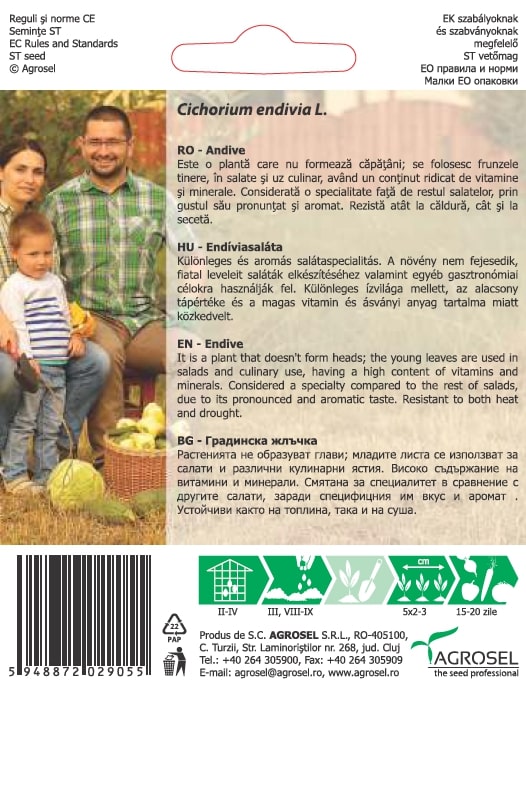 Andiva Grosse Pancaliere