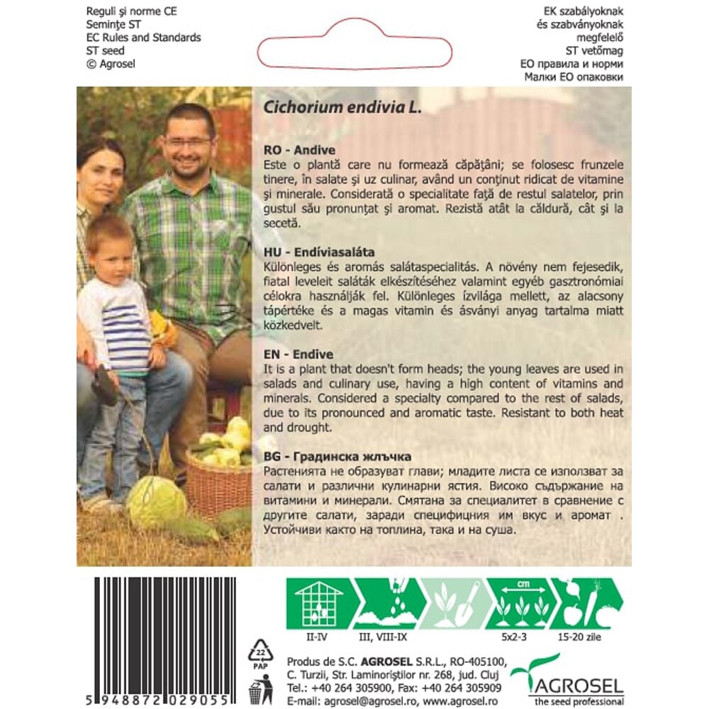 Seminte legume Andive Grosse Pancaliere AGROSEL