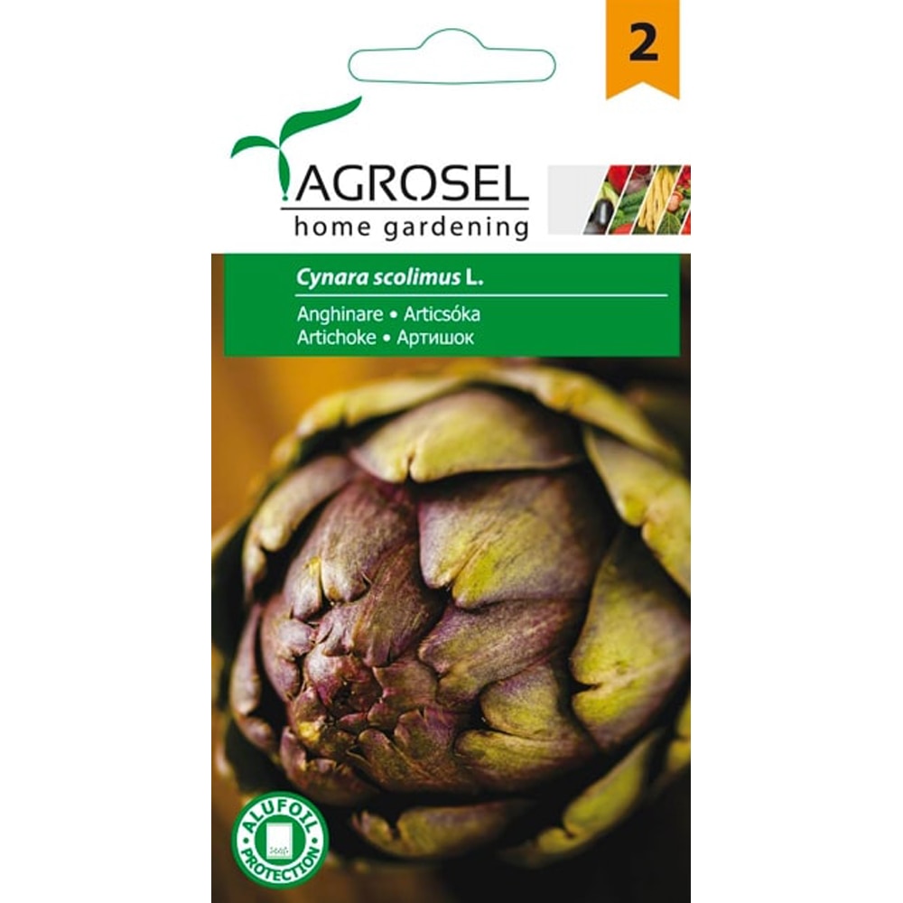 Seminte legume Anghinare AGROSEL