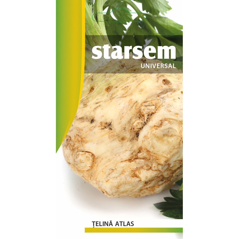 Seminte Telina Atlas STARSEM