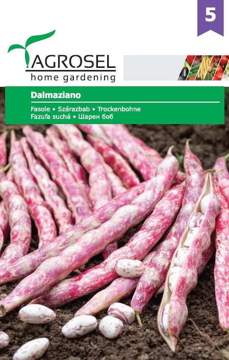 Seminte fasole Dalmaziano AGROSEL, 5.4 g