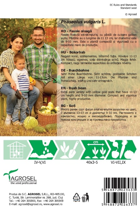 Fasole Tip Fideluta Sondela