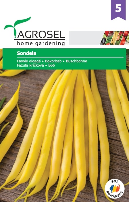 Fasole Tip Fideluta Sondela