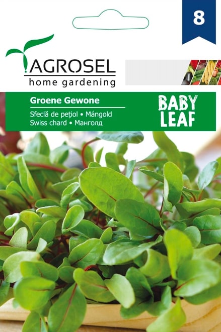 Sfecla De Petiol Groene Grewone