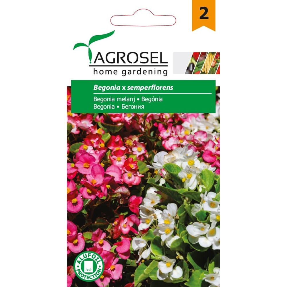 Seminte flori Begonia melanj AGROSEL