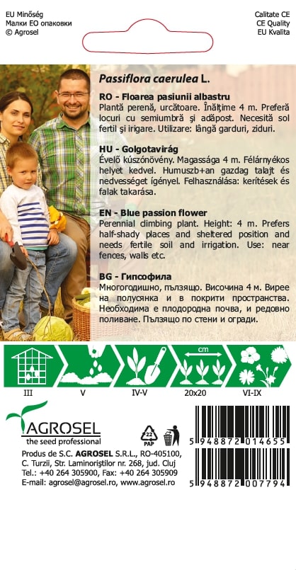 Floarea Pasiunii Albastru