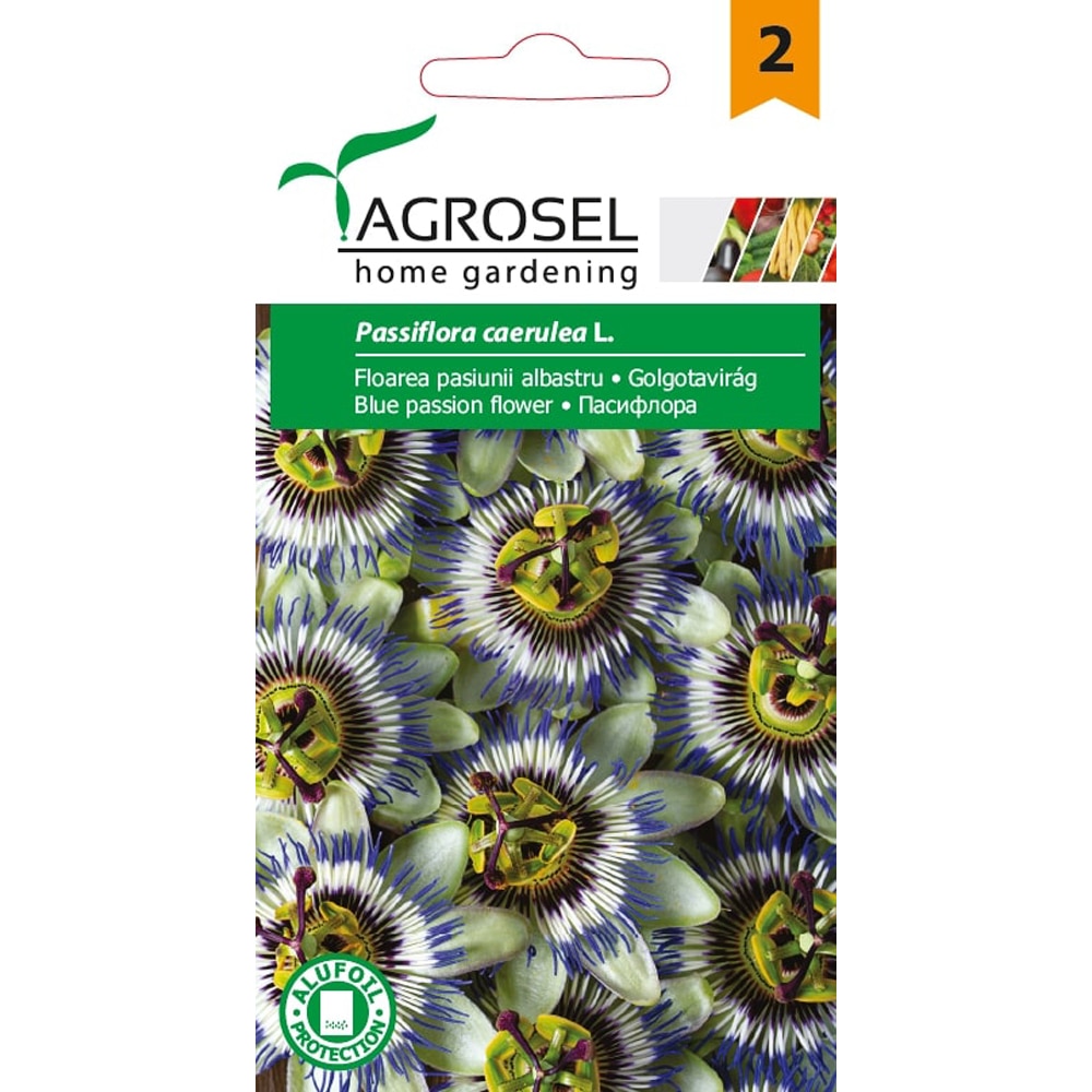 Seminte flori Floarea pasiunii albastra AGROSEL