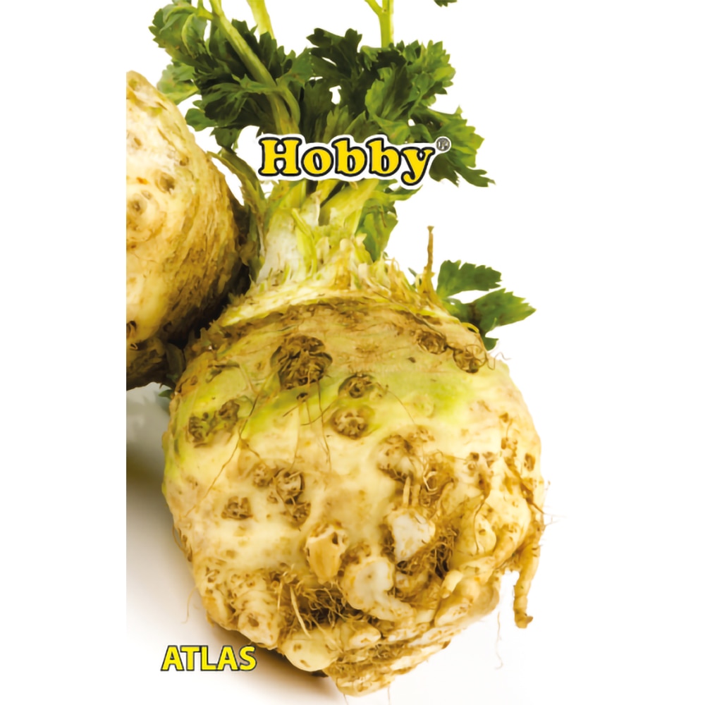 Seminte Telina Atlas HOBBY