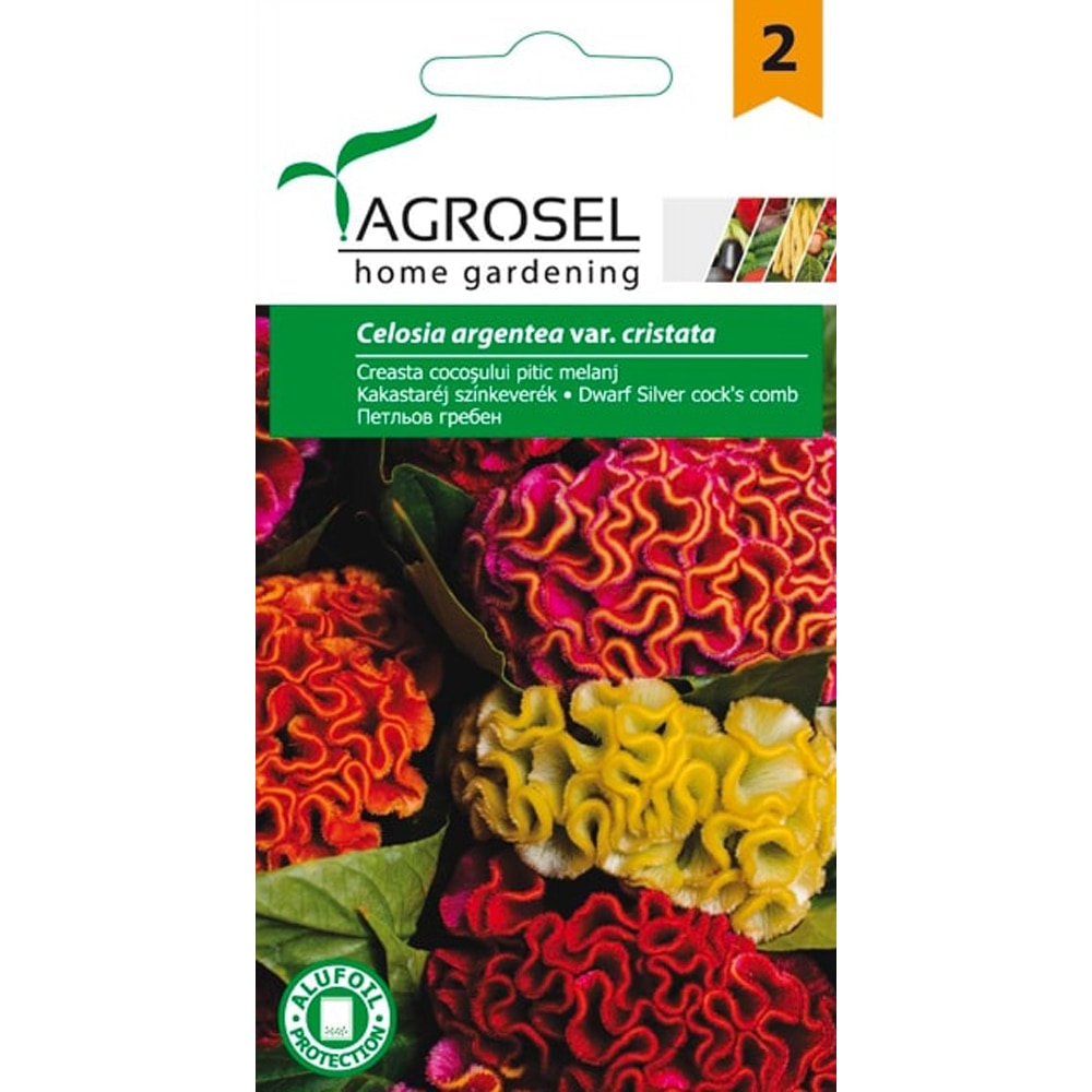Seminte flori Creasta cocosului pitica melanj AGROSEL