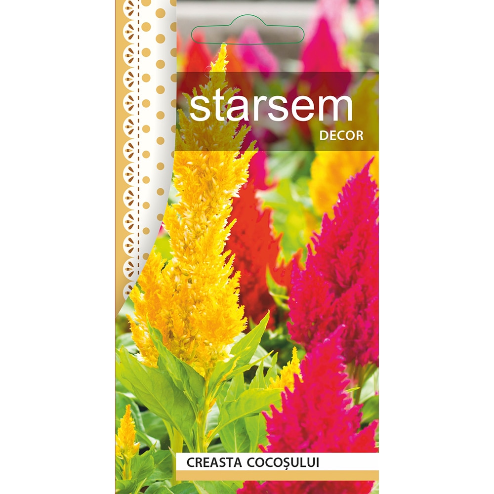 Seminte Creasta Cocosului STARSEM, multicolor