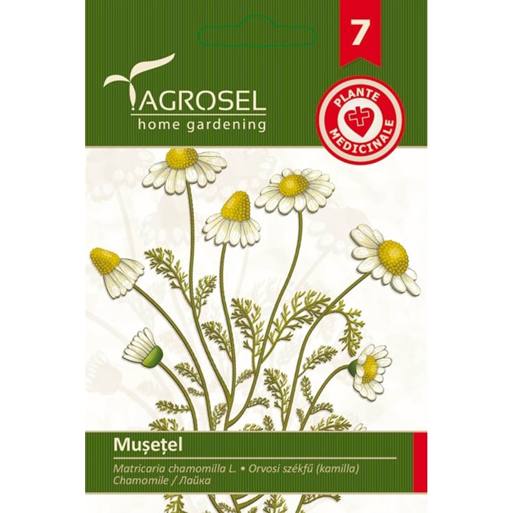 Seminte flori Musetel AGROSEL