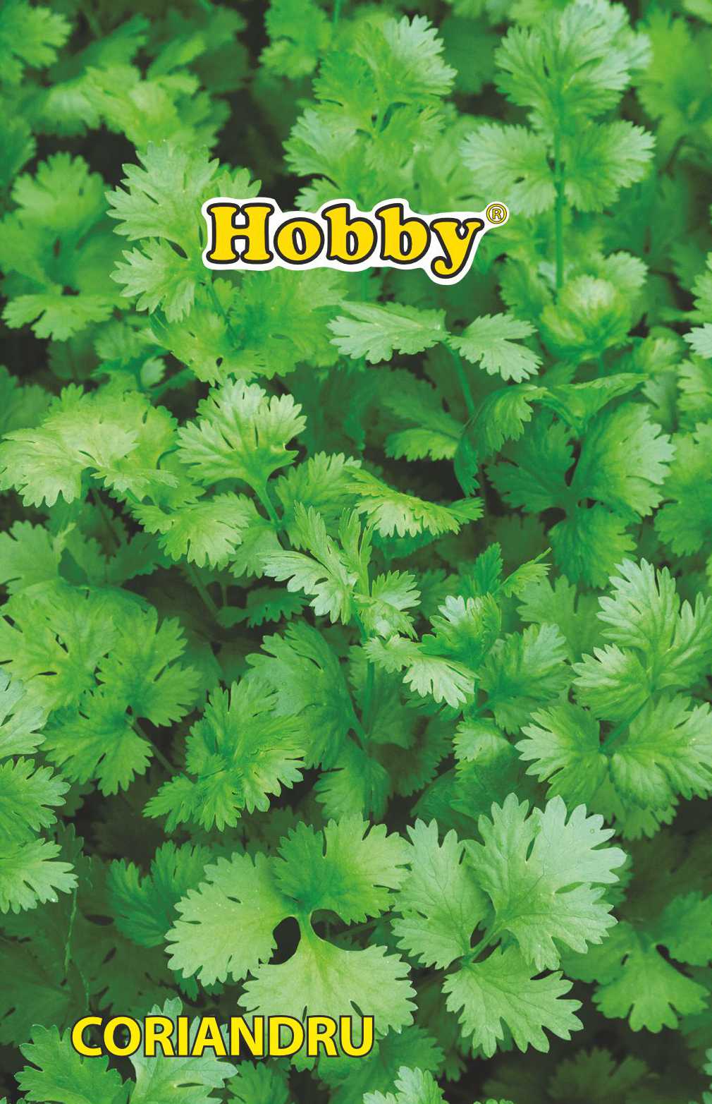 Seminte coriandru AGROSEL, 3.45 g