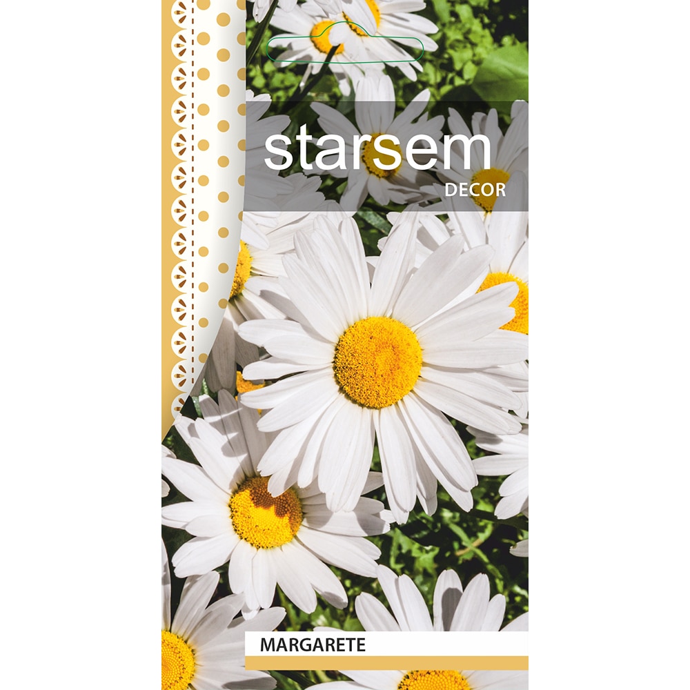 Seminte Margarete STARSEM, alb