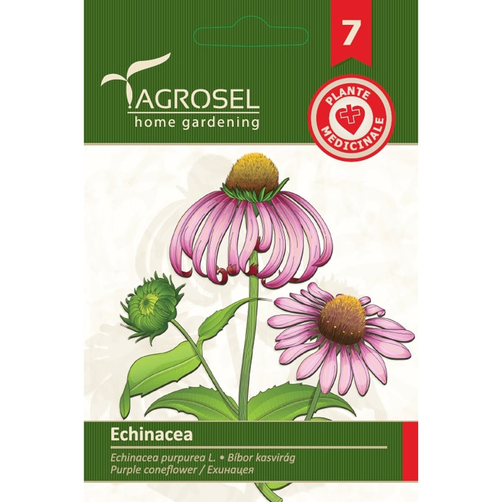 Seminte flori Echinacea AGROSEL
