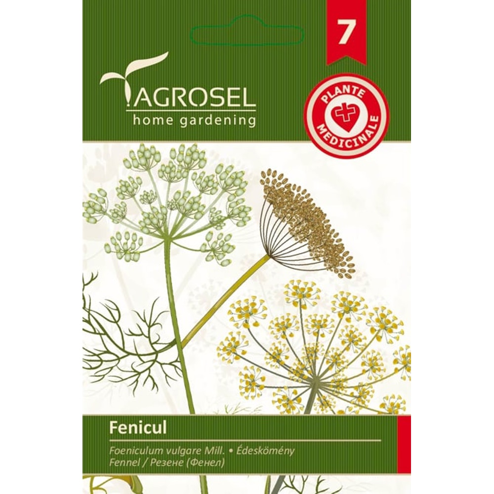 Seminte legume Fenicul AGROSEL