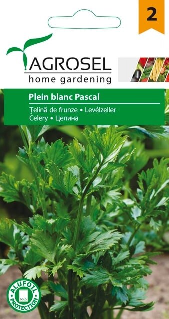 Telina De Frunze Pascal Giant