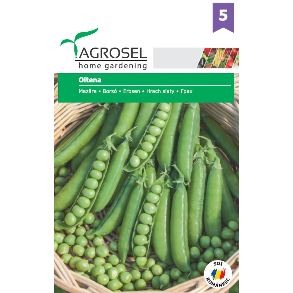 Seminte Mazare Oltena AGROSEL SELECTION