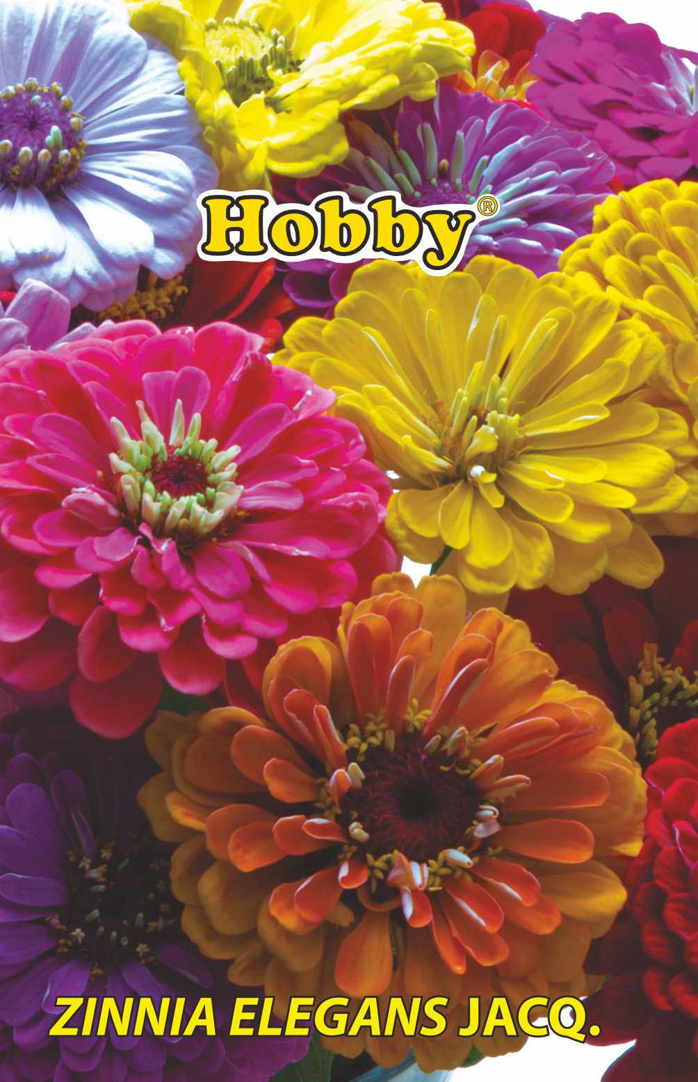 Carciumarese Urias Mj.