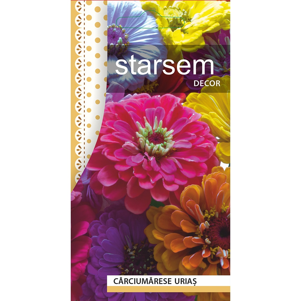 Seminte Carciumarese Urias STARSEM, multicolor
