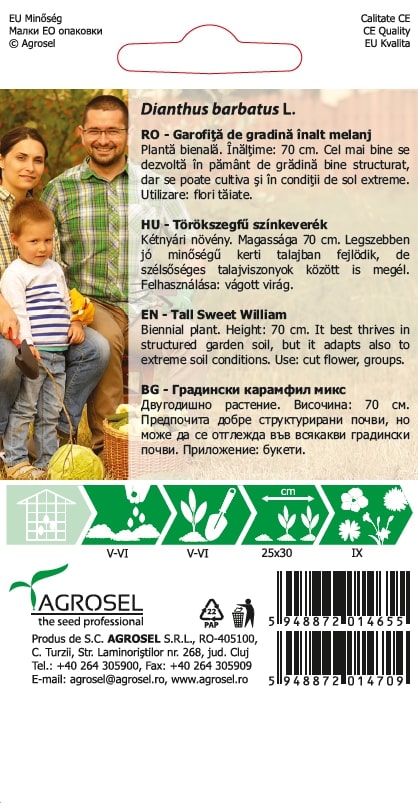 Garofita De Gradina Inalt Mj.