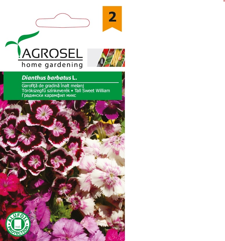 Garofita De Gradina Inalt Mj.