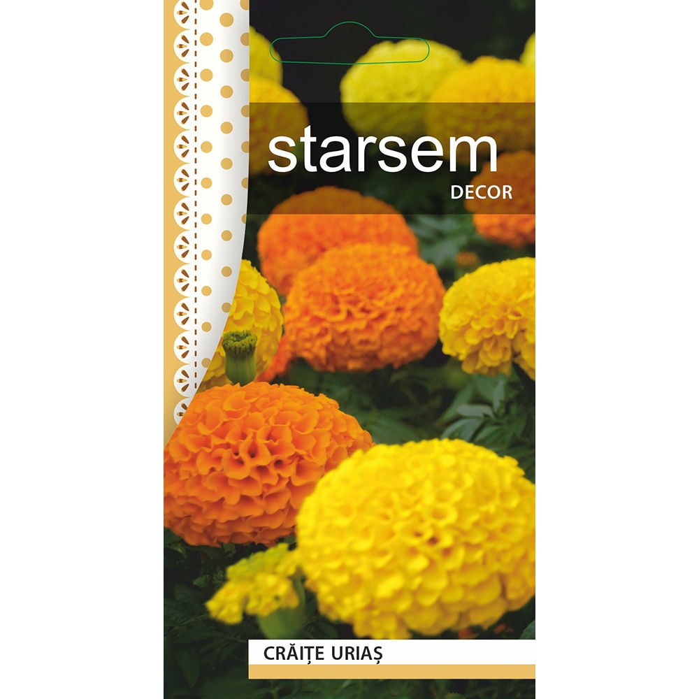 Seminte Craite Urias STARSEM