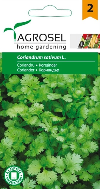 Coriandru