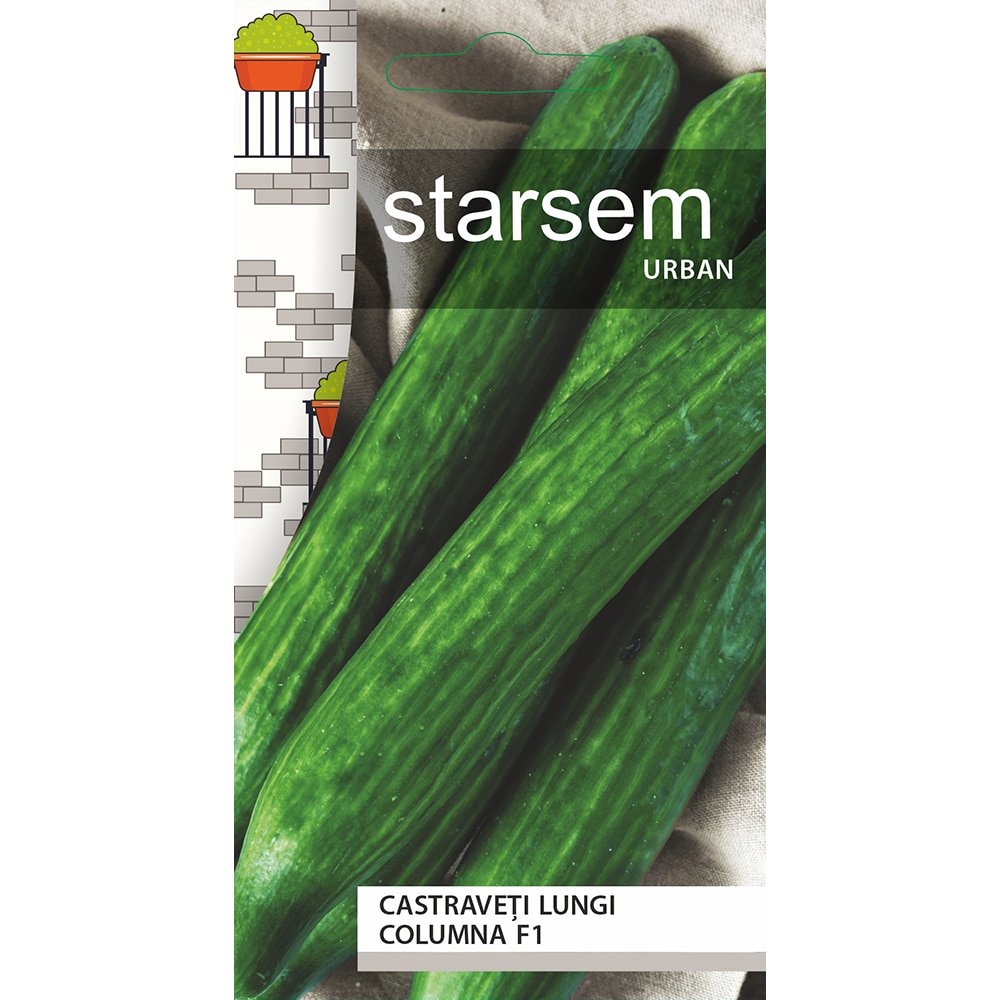 Seminte Castraveti lungi Columna F1 STARSEM
