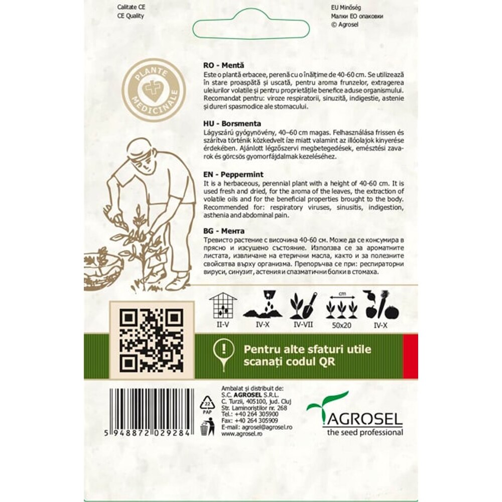 Seminte Menta AGROSEL
