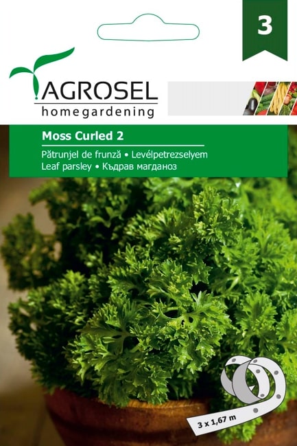 Patrunjel De Frunza Moss Curled 2