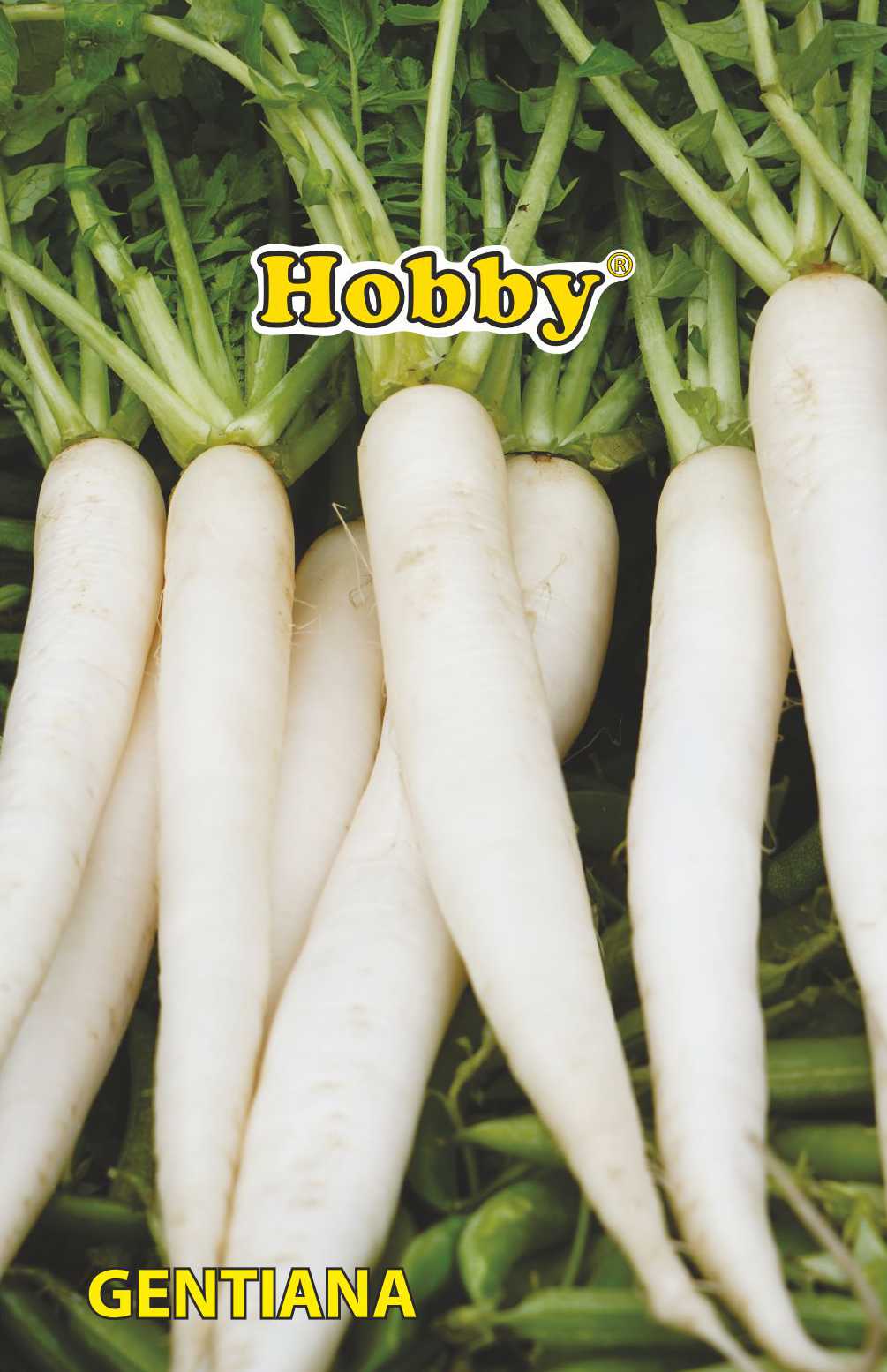 Seminte ridichi Gentiana AGROSEL, 3.45 g