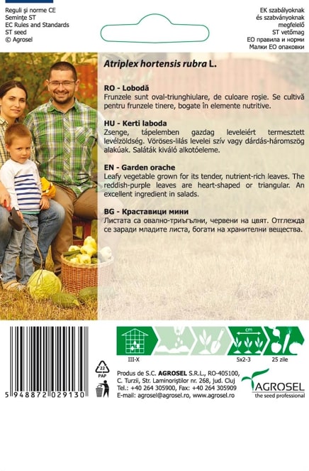 Seminte loboda rosie AGROSEL, 5.15 g