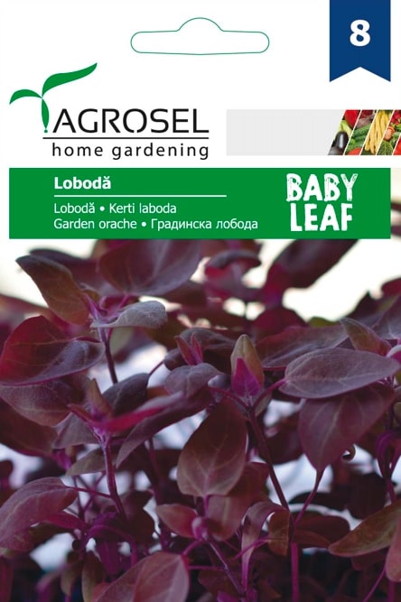 Seminte loboda rosie AGROSEL, 5.15 g