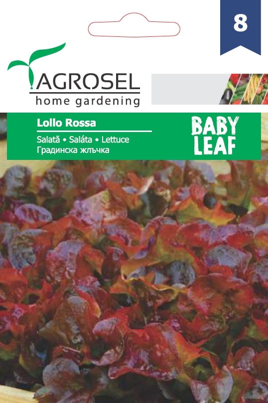 Salata Creata Rosie Lollo Rossa
