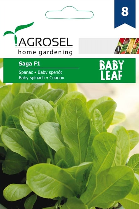 Spanac Saga F1 Baby Leaf