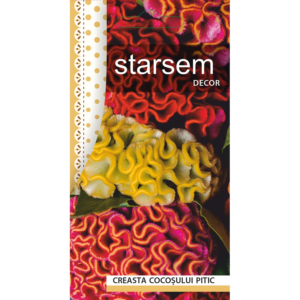 Seminte Creasta Cocosului Pitic STARSEM, multicolor