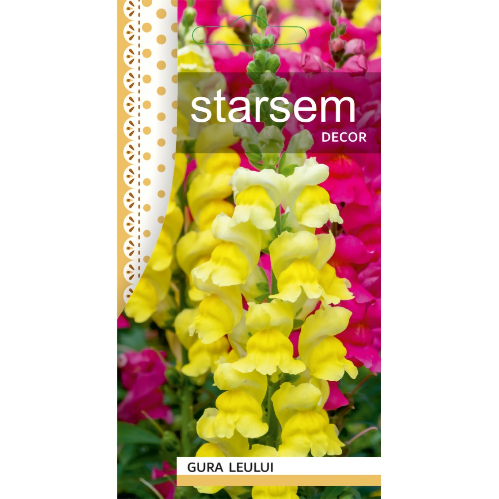 Seminte Gura Leului pitic STARSEM