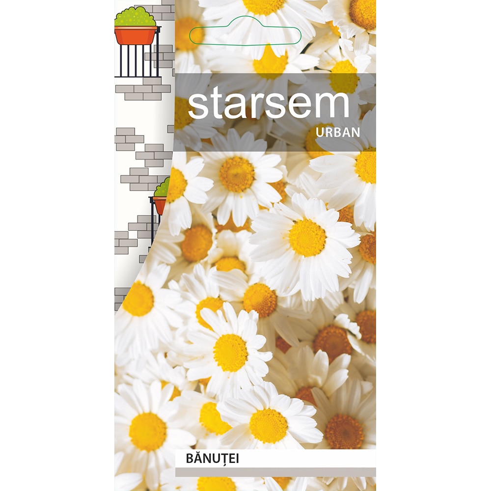 Seminte Banutei STARSEM, alb