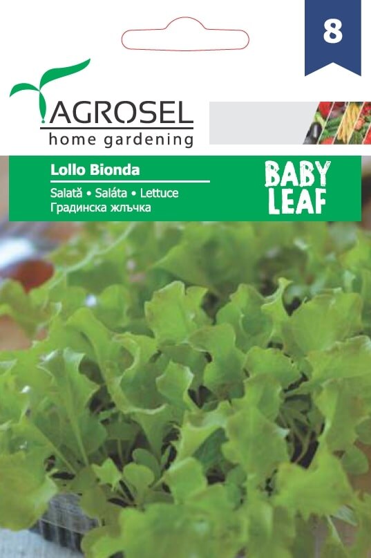 Salata Creata Alba Lollo Bionda